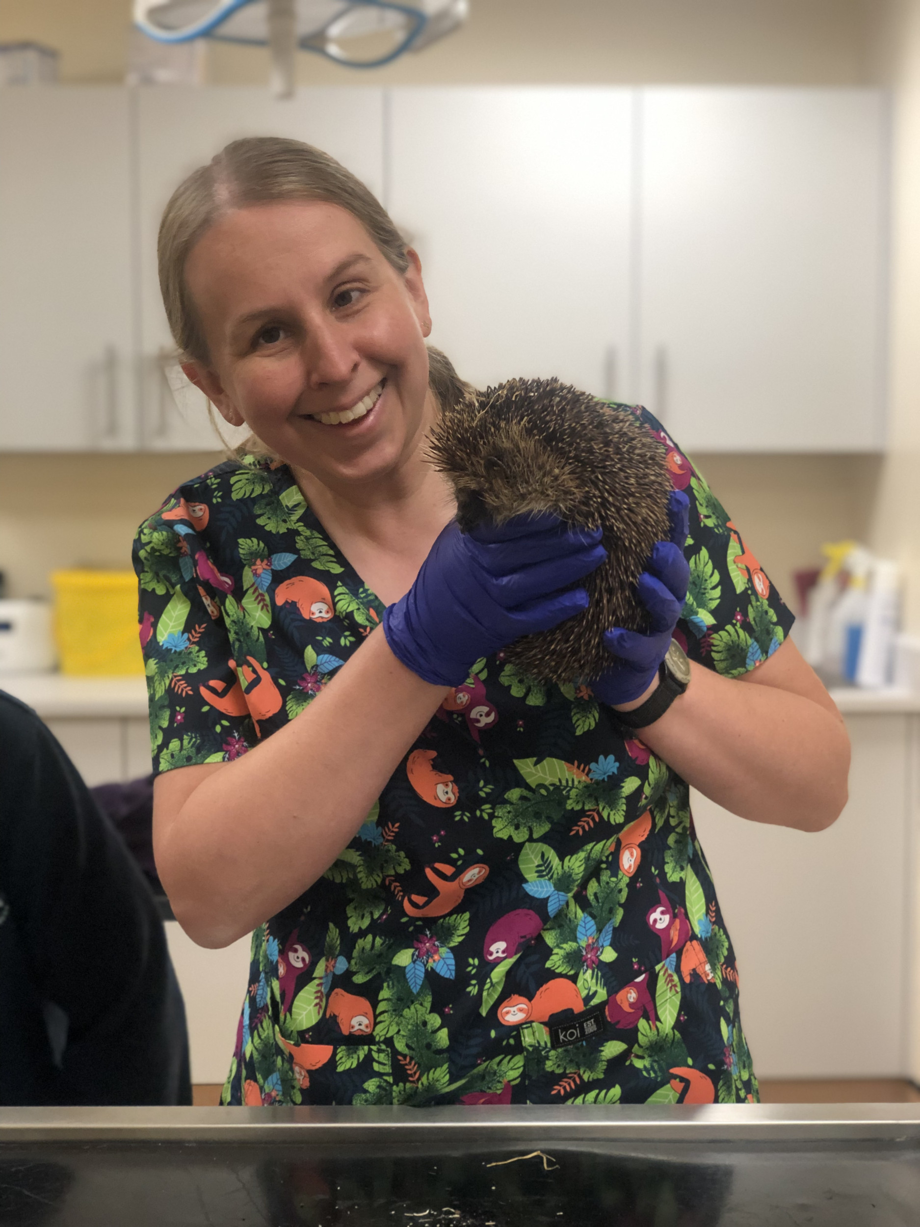 Vet Emma with hedgehog